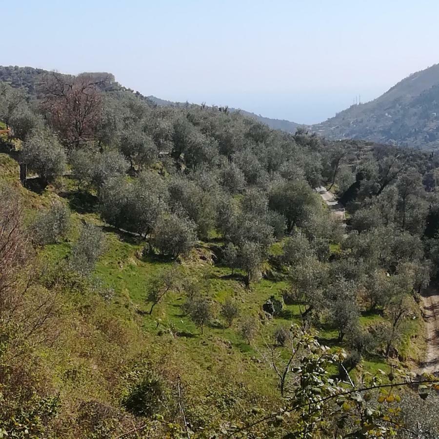 דירות Ceriana Casa Margherita מראה חיצוני תמונה